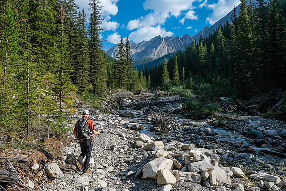 Hiking up the access creek. A mix of forest, bushwhacking, deadfall and wet feet.