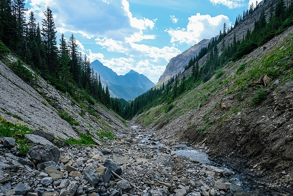 Views back down the creek as it narrows.