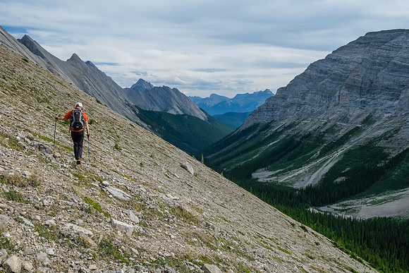 Starting to sidehill and descend to the creek.