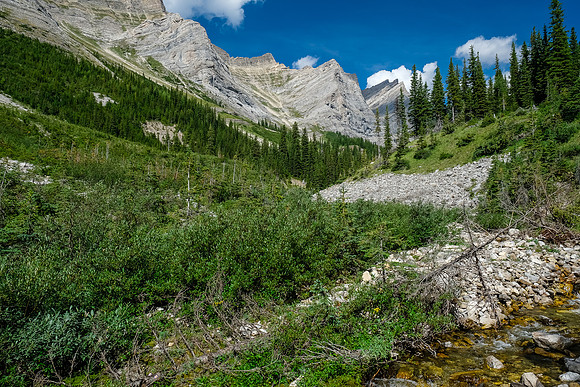 Hiking up the access creek. A mix of forest, bushwhacking, deadfall and wet feet.