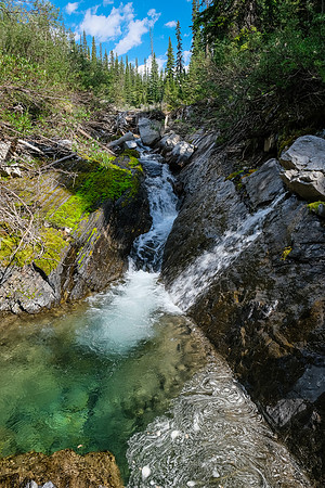 Hiking up the access creek. A mix of forest, bushwhacking, deadfall and wet feet.