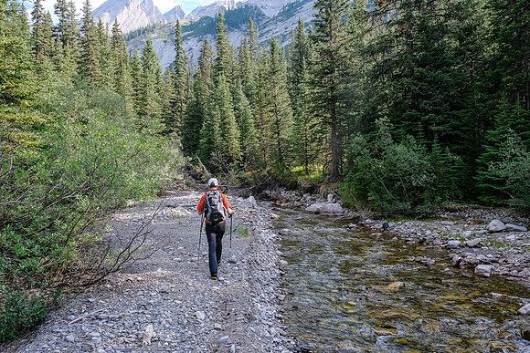 Hiking up the access creek. A mix of forest, bushwhacking, deadfall and wet feet.