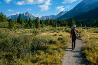 Continuing up the Johnston Creek valley after hiking past the tired looking Ink Pots.