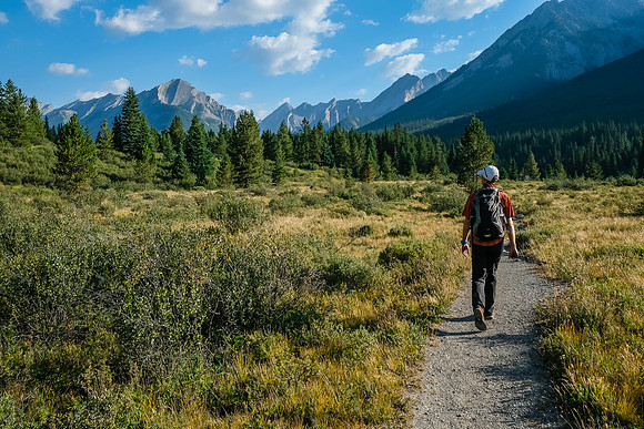 Continuing up the Johnston Creek valley after hiking past the tired looking Ink Pots.