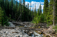Hiking up the access creek. A mix of forest, bushwhacking, deadfall and wet feet.