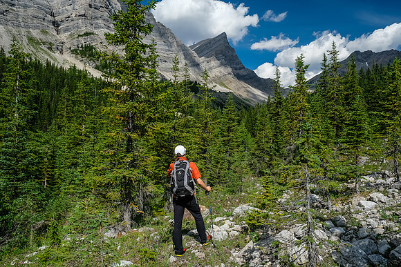 Finally out of the bushwhacking into the upper creek.