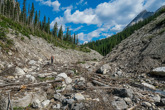Hiking up the access creek. A mix of forest, bushwhacking, deadfall and wet feet.