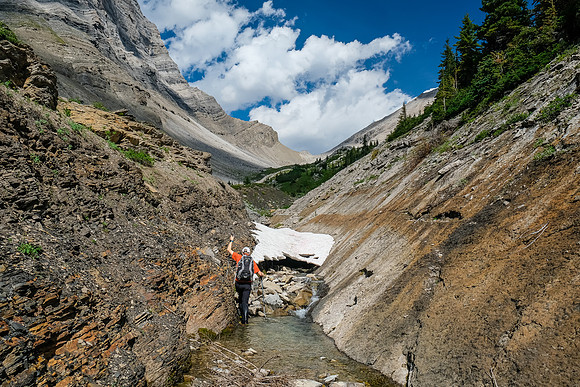 The creek narrows near tree line against an interesting bedding plane.