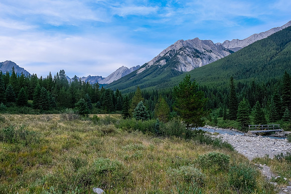 Views back as we cross Johnston Creek (R).