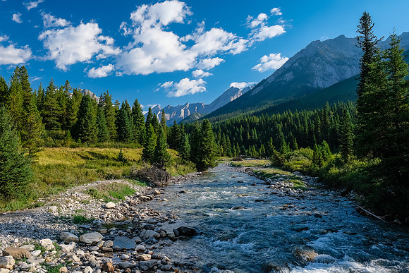 Crossing Johnston Creek.