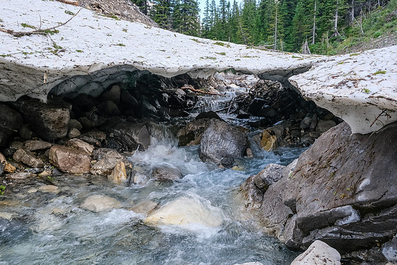 Hiking up the access creek. A mix of forest, bushwhacking, deadfall and wet feet.