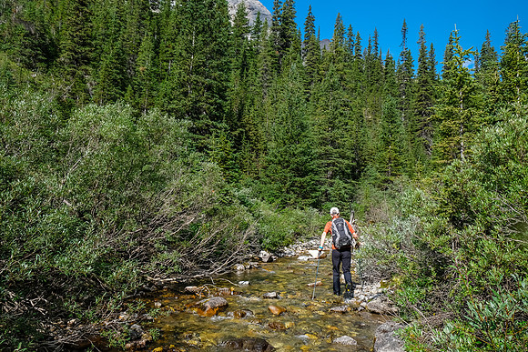 Hiking up the access creek. A mix of forest, bushwhacking, deadfall and wet feet.