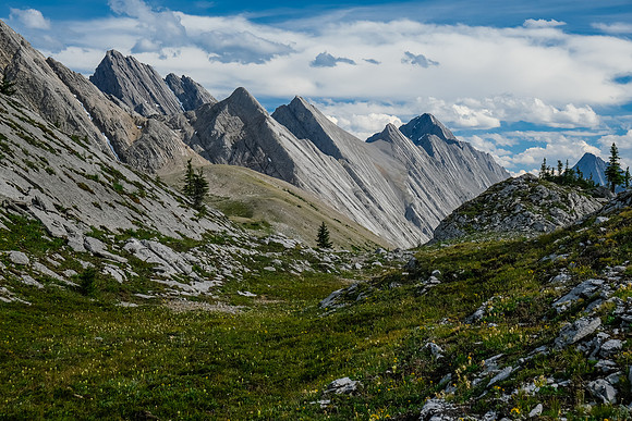 Alpine landscapes.