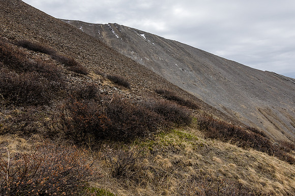 Views back to the summit of Sentry Peak.