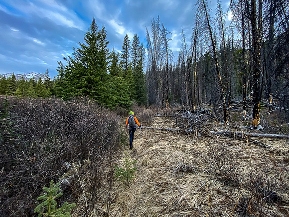 Hiking up the Indianhead Pass Trail.