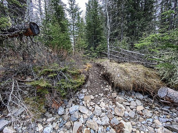 Hiking down the Clearwater River Trail.