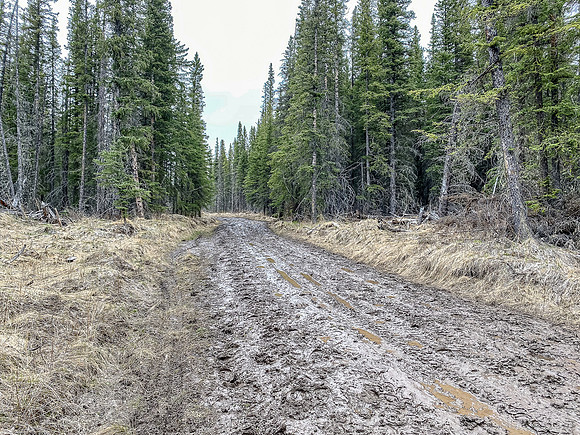 Biking down the North Cutoff Creek Trail.