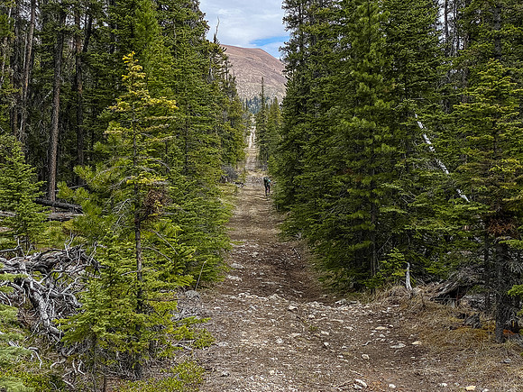 Biking back up to the SE shoulder of Lost Guide Peak.