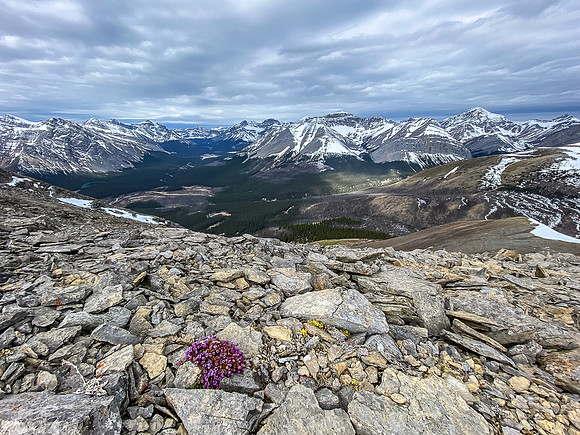 The upper Clearwater River valley is a remote and wild landscape.
