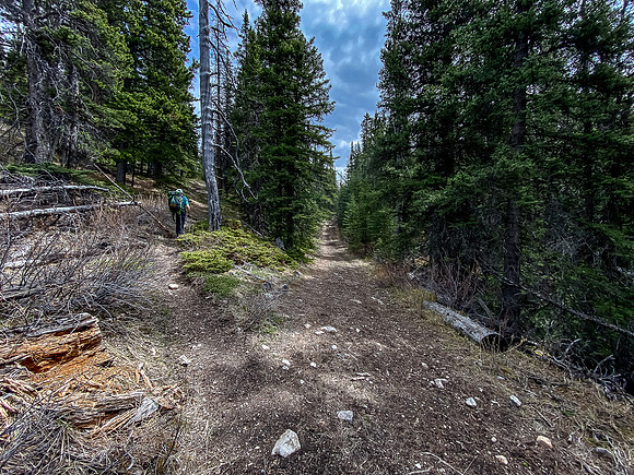 A small trail deviates left off the Clearwater Trail and this is where we left the bikes.