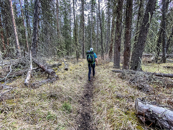 Hiking down the Clearwater River Trail.