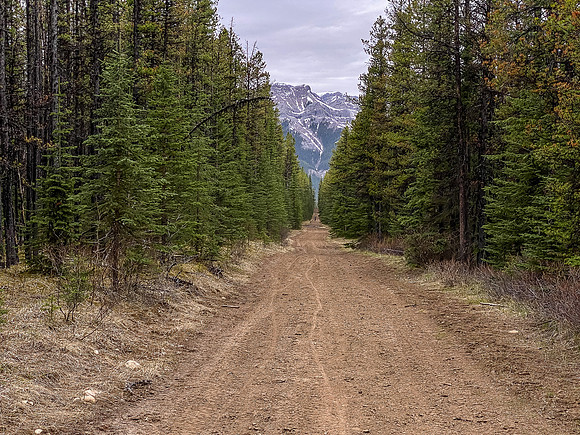 Biking down the North Cutoff Creek Trail.