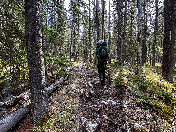 Hiking down the Clearwater River Trail.