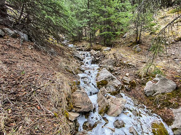 Descending a south ridge / gully back to the Indianhead Pass Trail.