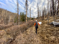 Hiking up the Indianhead Pass Trail through a burn area.
