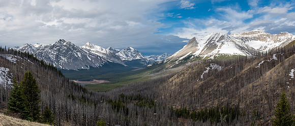 As we start up the west slopes of Sentry we get these views up the Clearwater River valley.