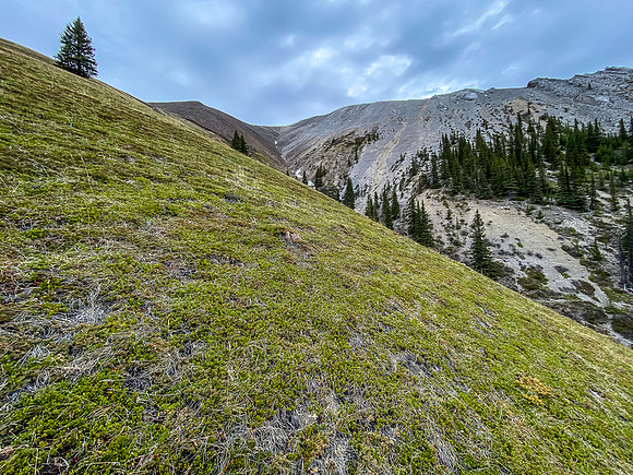 Descending a south ridge / gully back to the Indianhead Pass Trail.