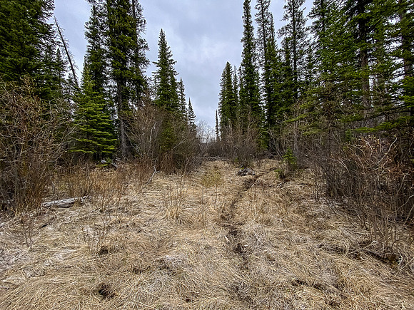 The South Cutoff Creek Trail leaves the North Trail here.
