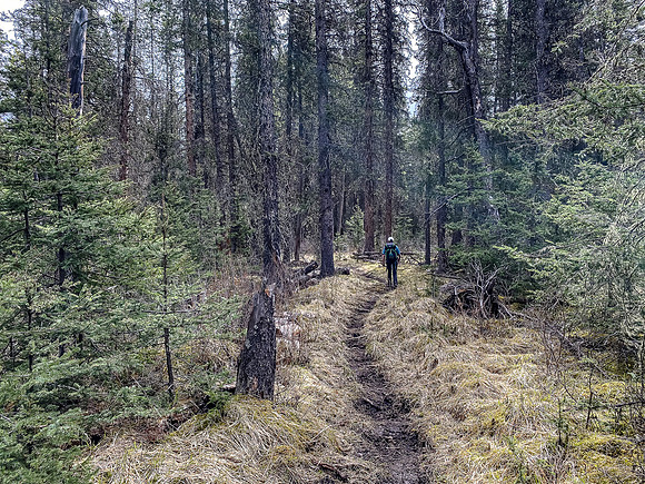 Hiking down the Clearwater River Trail.