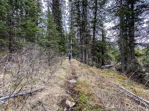 Back on the Indianhead Pass Trail.