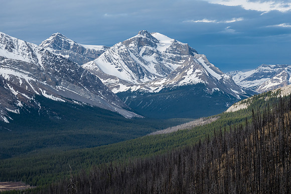 This peak is unnamed. Part of Dip Slope in the bg.
