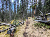 Hiking up the Indianhead Pass Trail.