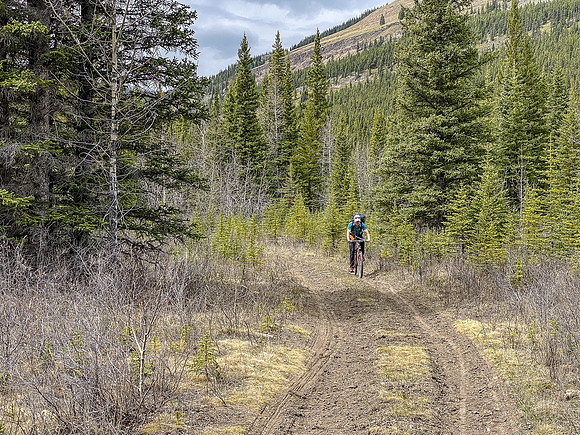 Biking down the Clearwater Trail.