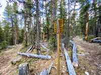 The junction for the Clearwater (L) and Indianhead Pass (R) trails.