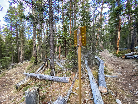 The junction for the Clearwater (L) and Indianhead Pass (R) trails.