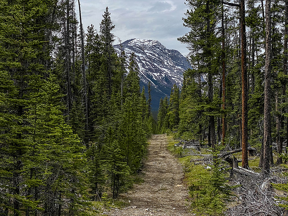 Looking back at Mount Peters over the last bikeable section of the Clearwater Trail.