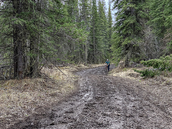 Biking down the Clearwater Trail.
