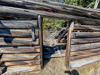 An old cabin along the Clearwater Trail.