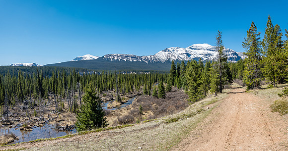 The trail stays high above the swampy valley.