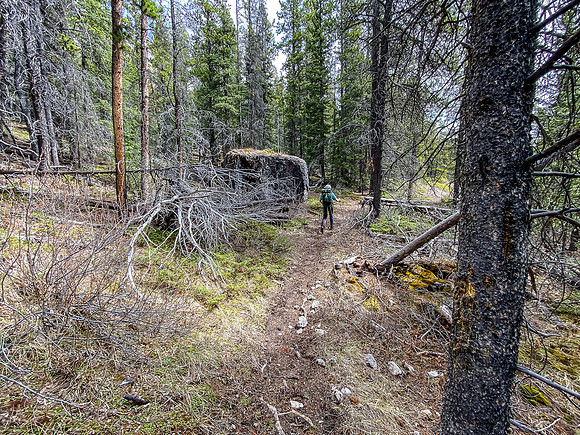 Hiking down the Clearwater River Trail.