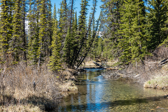 The last water crossing is mellow.