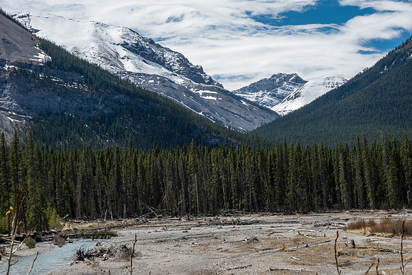 Views up Peters Creek.
