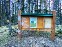 The eastern Banff boundary along the Clearwater Trail.