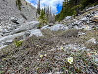 The south drainage of Lost Guide is fun, engaging and scenic.