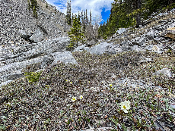 The south drainage of Lost Guide is fun, engaging and scenic.