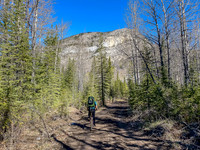 Biking the Clearwater Trail towards Forty Mile Cabin.